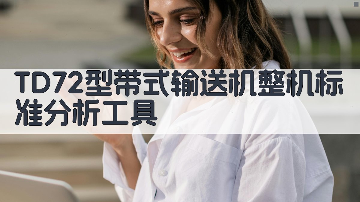 TD72型带式输送机整机标准分析工具