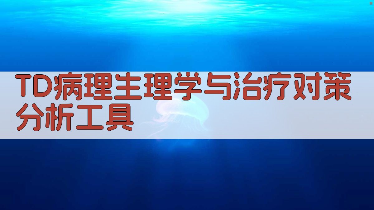 TD病理生理学与治疗对策分析工具
