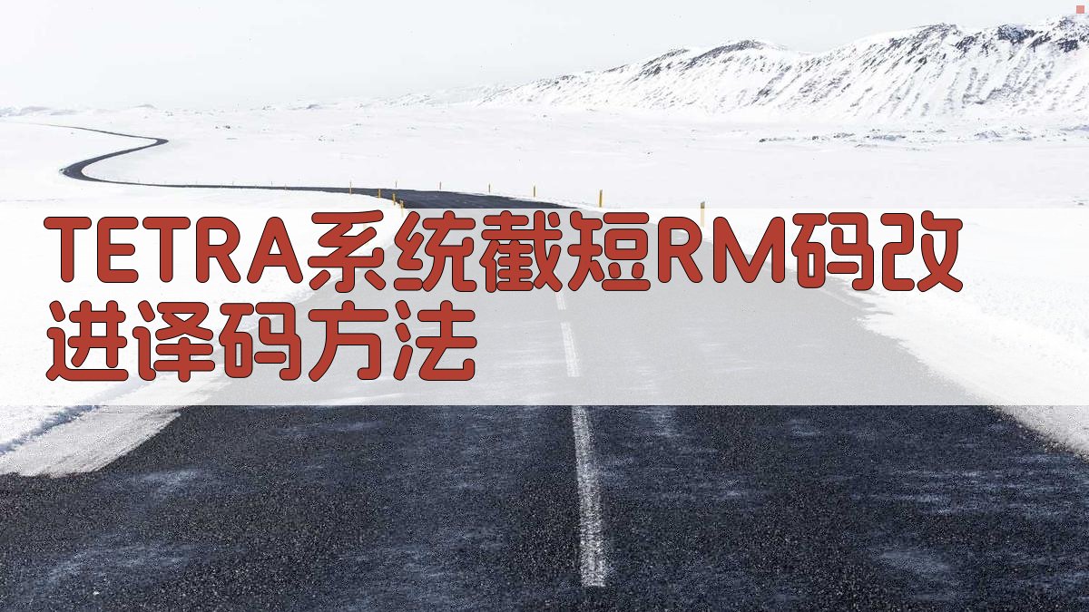 TETRA系统截短RM码改进译码方法
