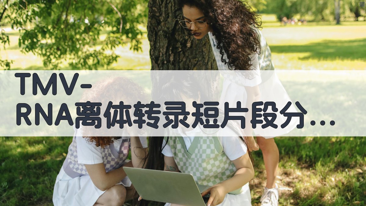 TMV-RNA离体转录短片段分析工具