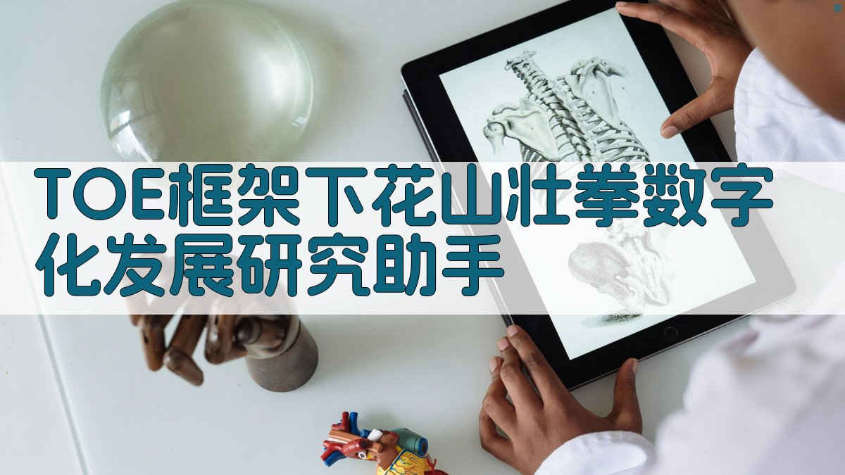 TOE框架下花山壮拳数字化发展研究助手