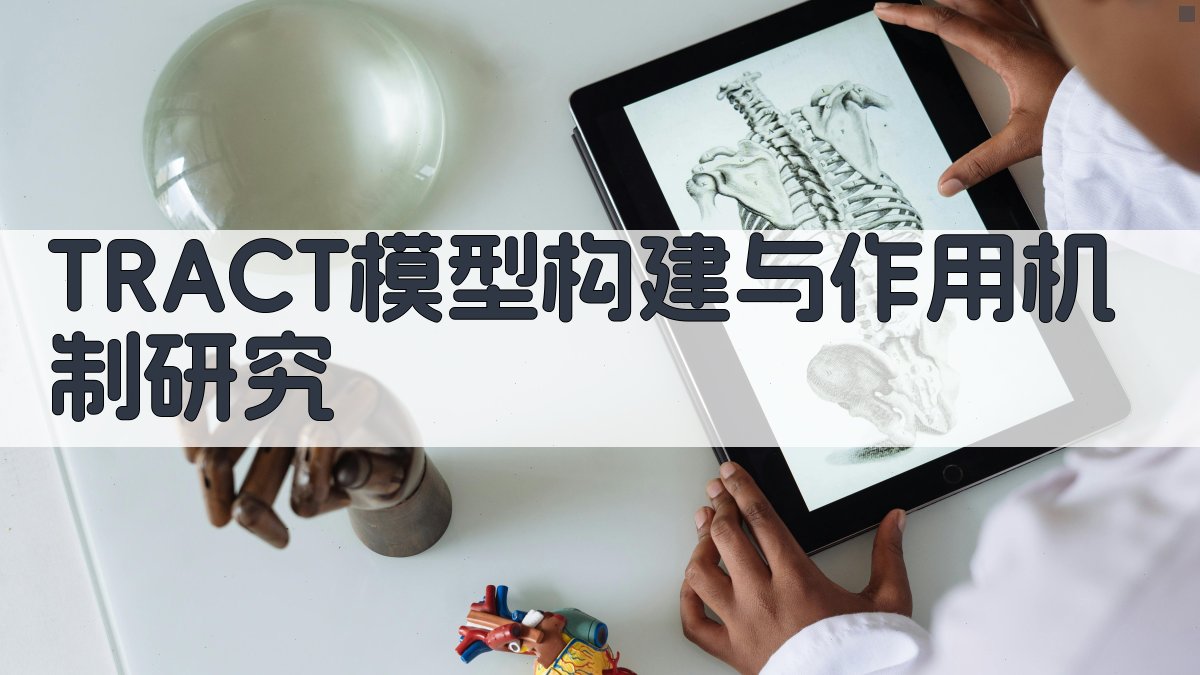TRACT模型构建与作用机制研究