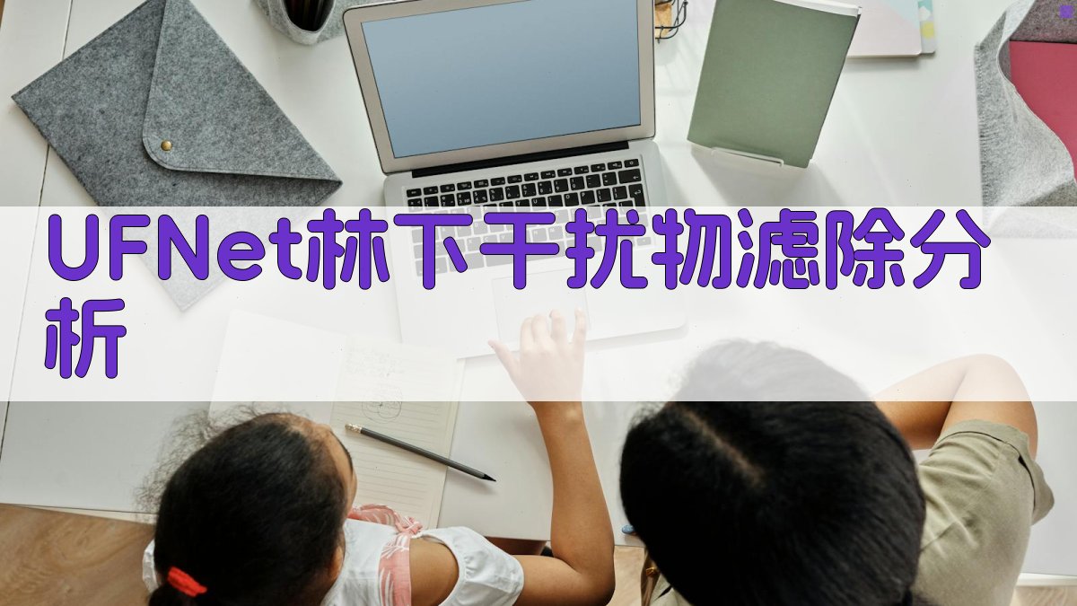 UFNet林下干扰物滤除分析