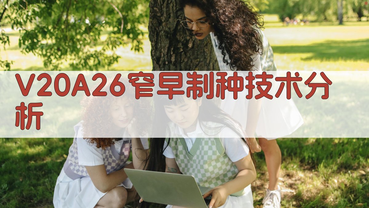 V20A×26窄早制种技术分析