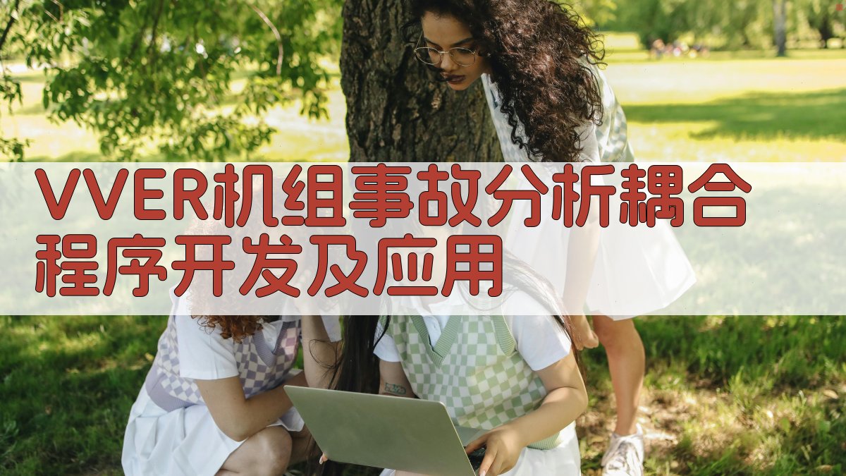 VVER机组事故分析耦合程序开发及应用