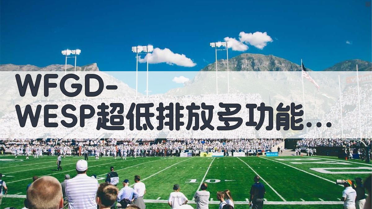 WFGD-WESP超低排放多功能塔设计及应用