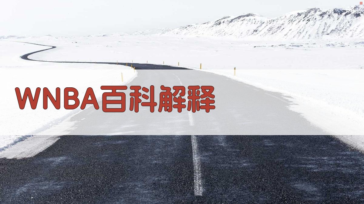 AI智能WNBA百科解析