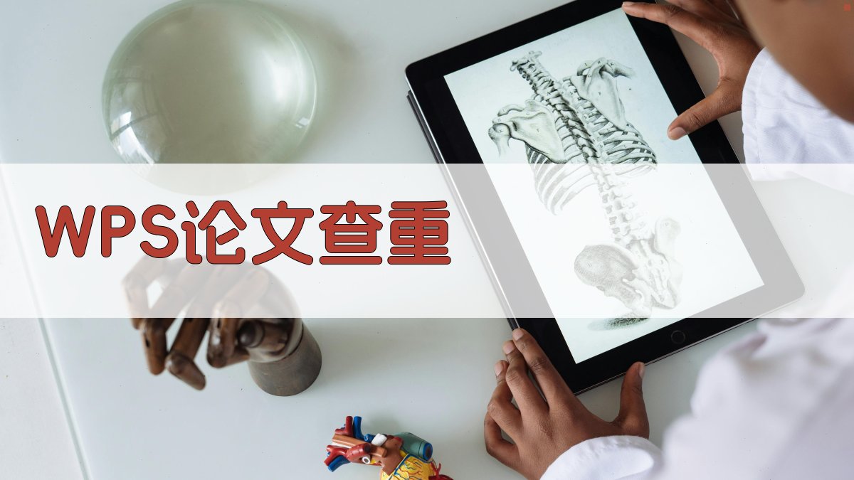 WPS论文查重可靠性分析