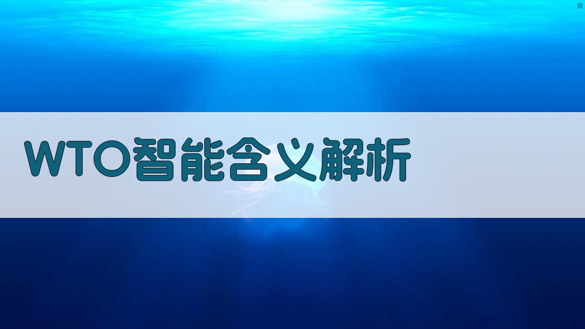 WTO智能含义解析