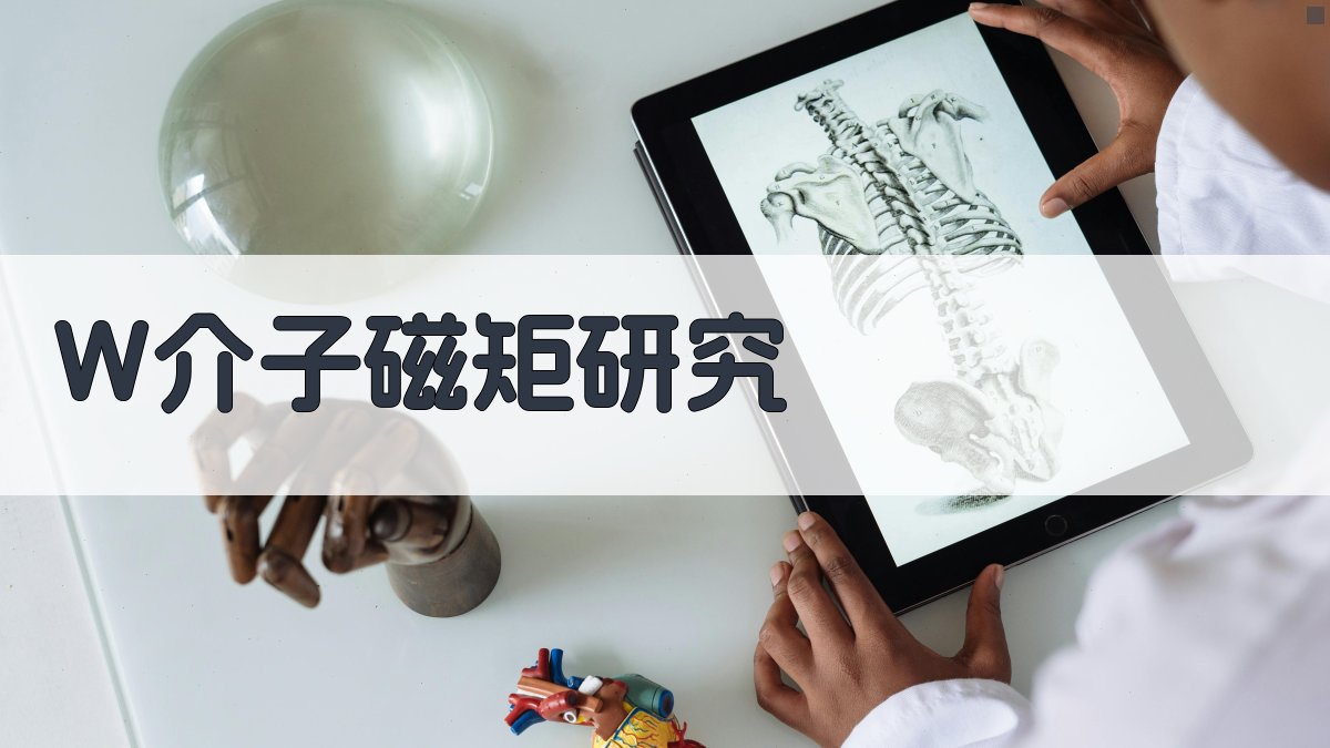 W±介子磁矩研究