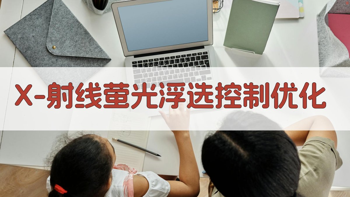 X-射线萤光浮选控制优化