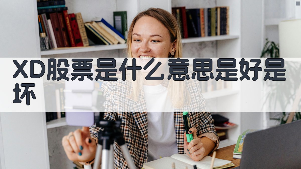 XD股票智能分析