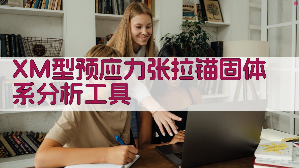 XM型预应力张拉锚固体系分析工具