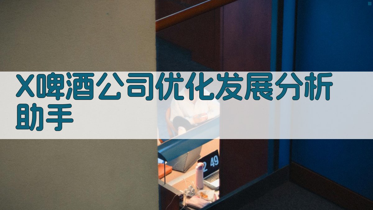 X啤酒公司优化发展分析工具