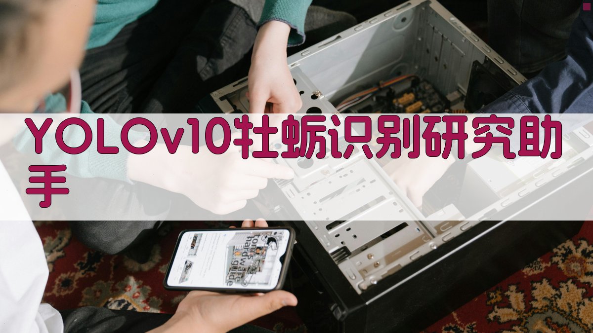 YOLOv10 轻量级牡蛎形状识别研究助手