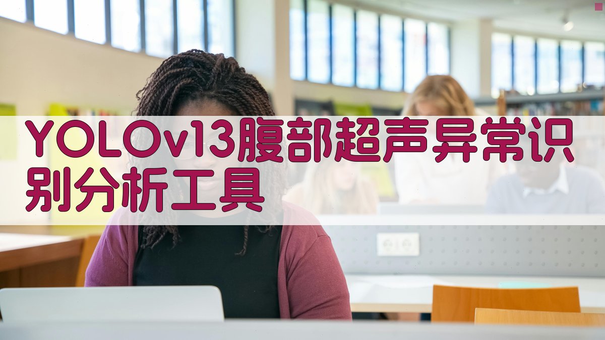 YOLOv13腹部超声异常识别分析工具