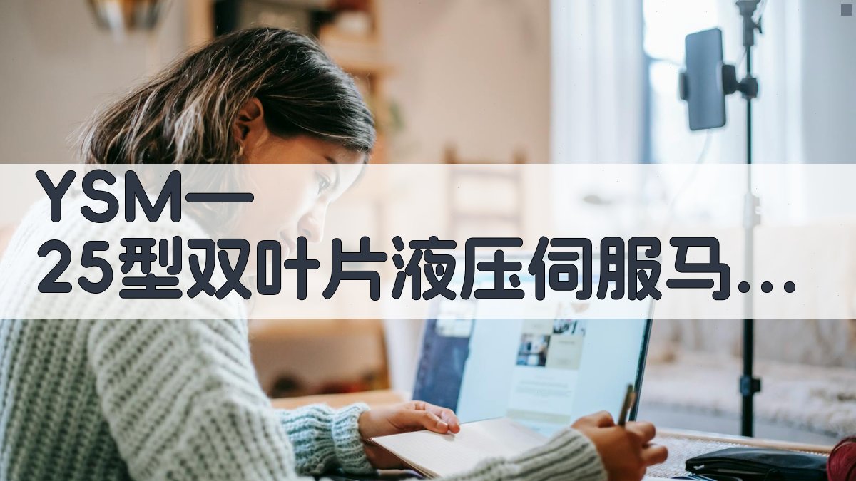 YSM—25型双叶片液压伺服马达鉴定会简讯分析工具