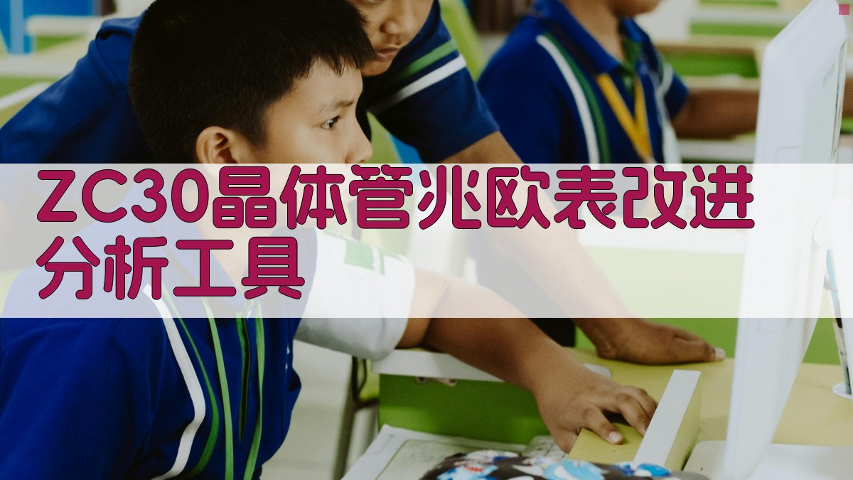 ZC30晶体管兆欧表改进分析工具