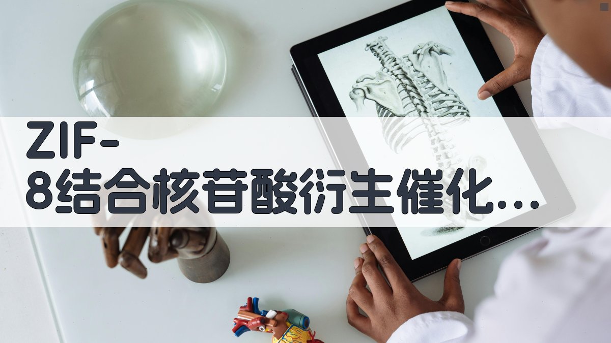 ZIF-8催化剂研究助手