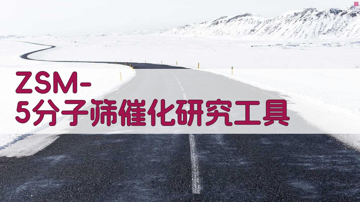 ZSM-5分子筛催化研究工具