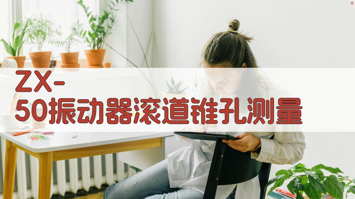 ZX-50振动器滚道锥孔测量