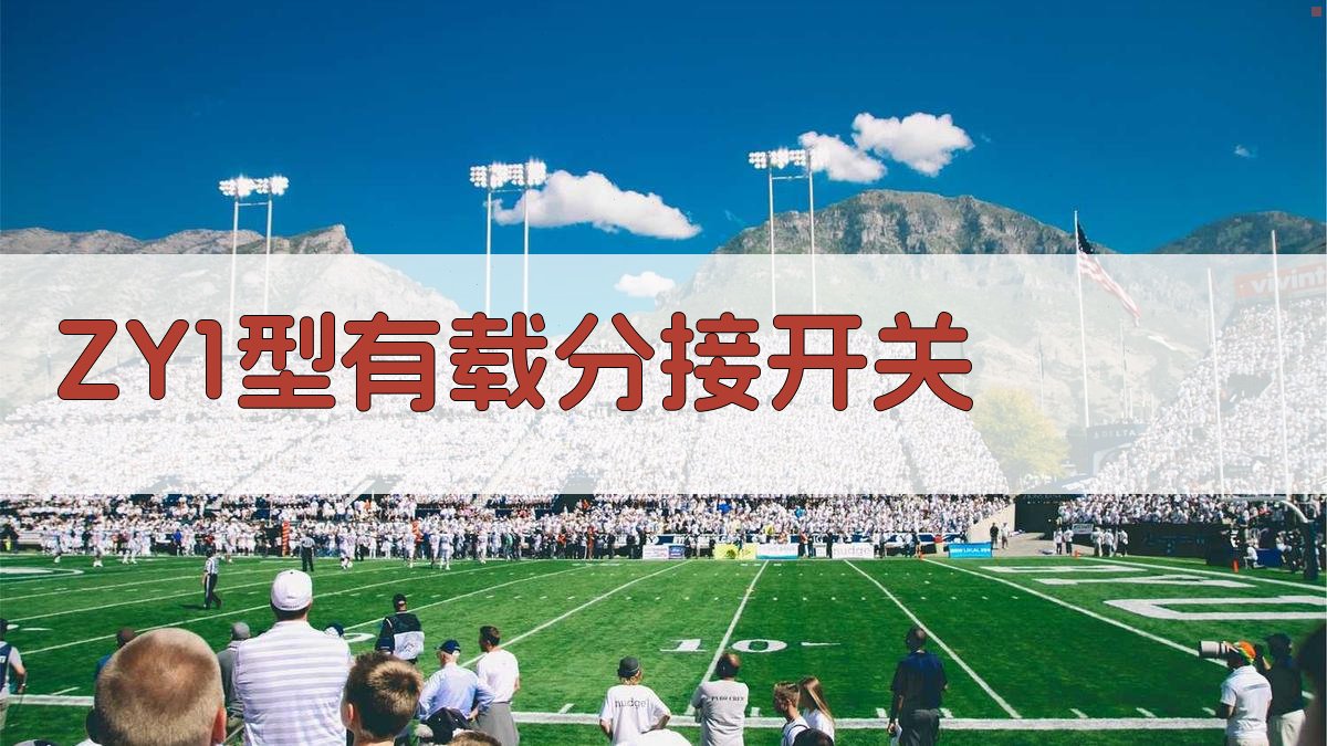 ZY1型有载分接开关