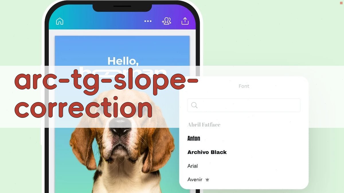 arc tg(x/y) 分割斜率校正算法分析