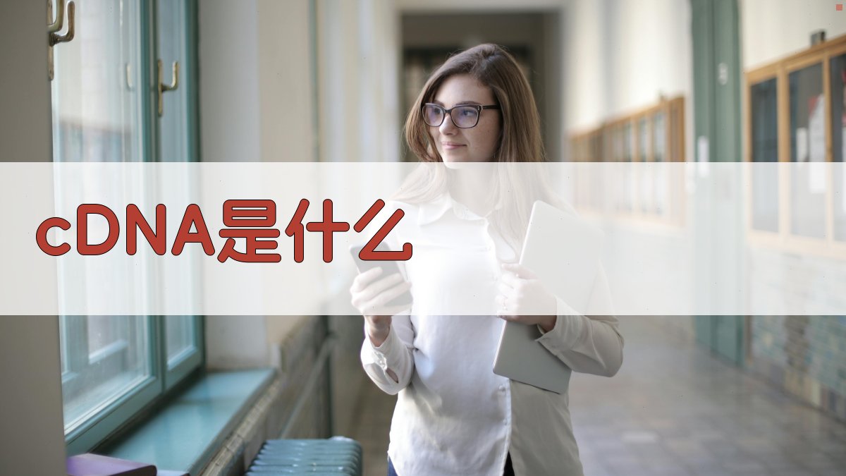 cDNA是什么