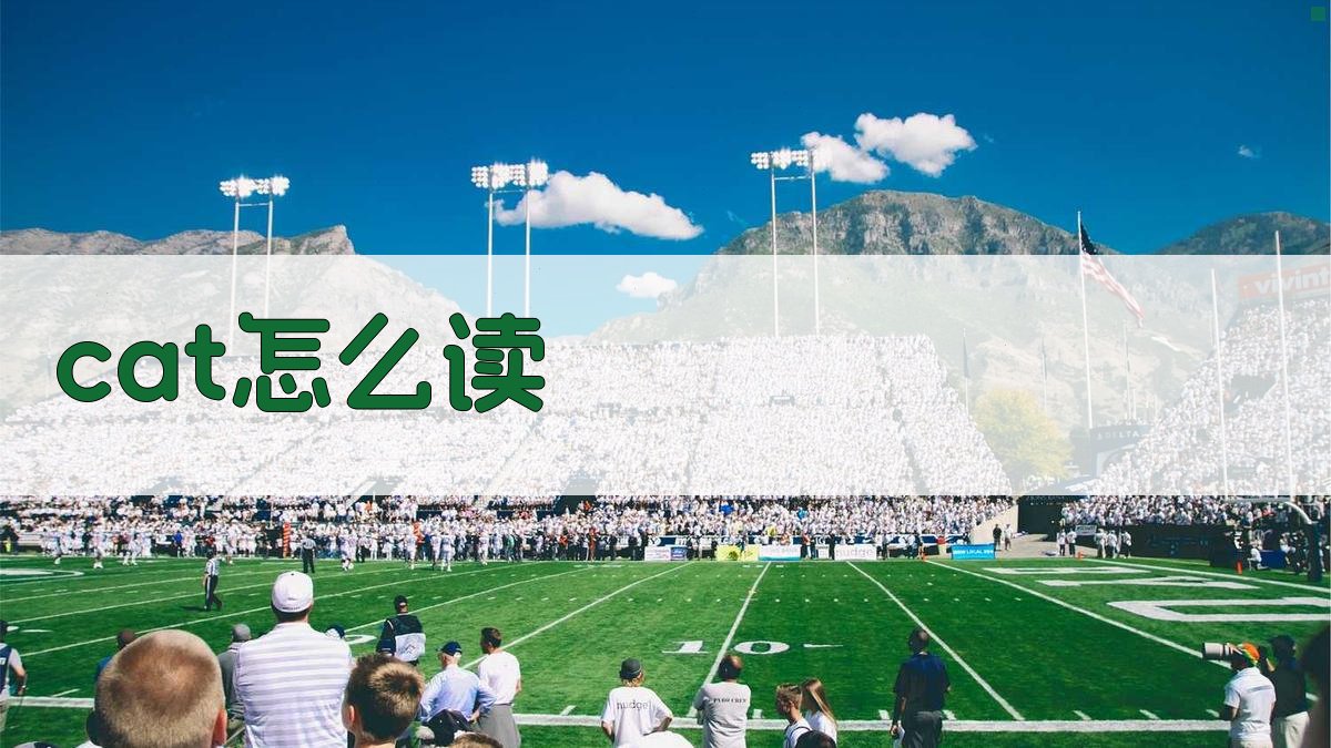 cat怎么读