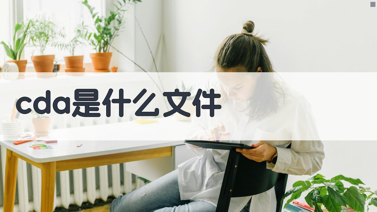 CDA文件格式智能分析