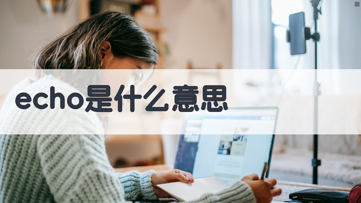 echo什么意思