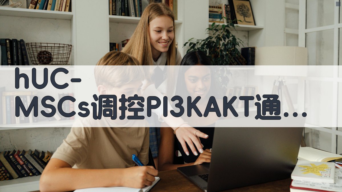 hUC-MSCs调控PI3K/AKT通路机制分析