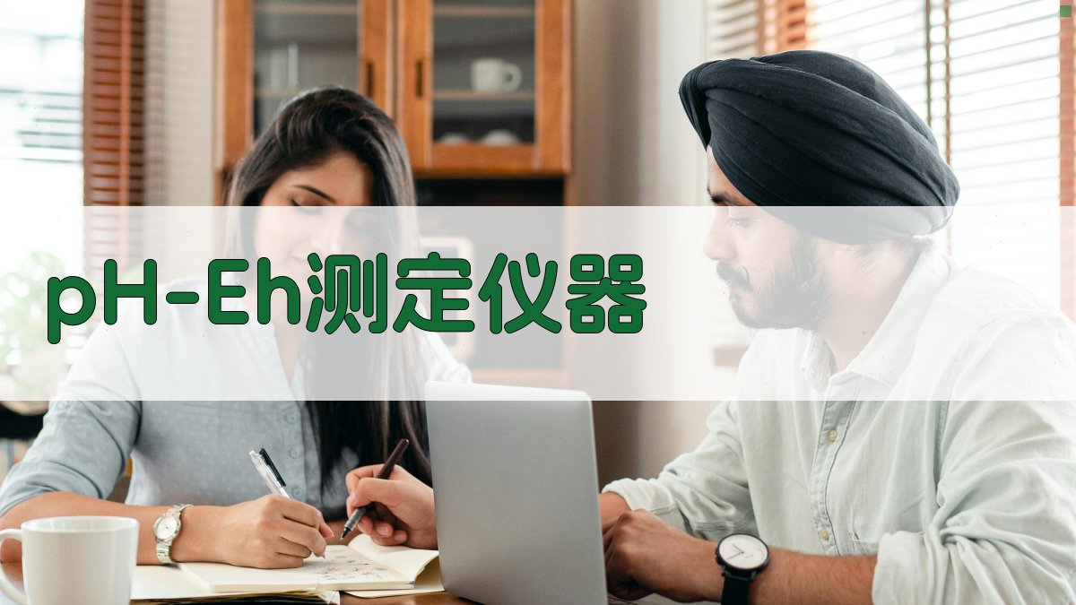 pH、Eh现场测定仪器装置