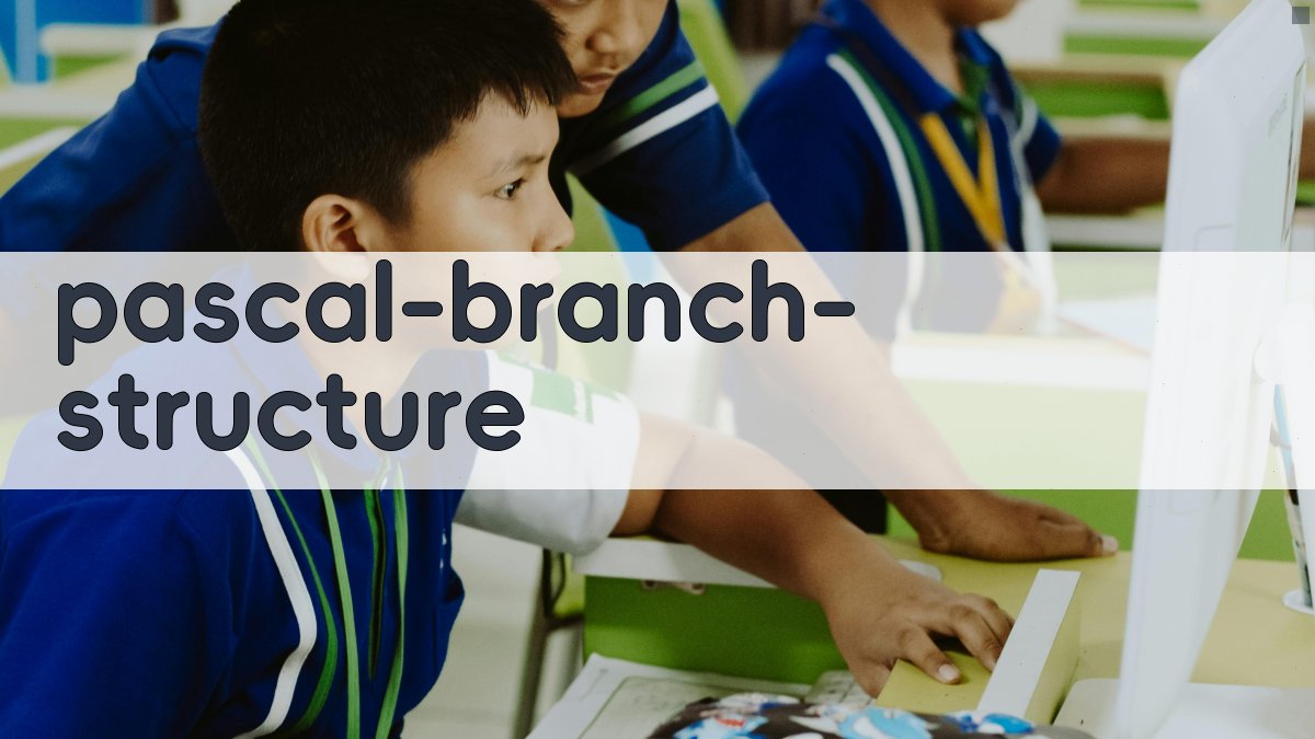 PASCAL语言分支结构