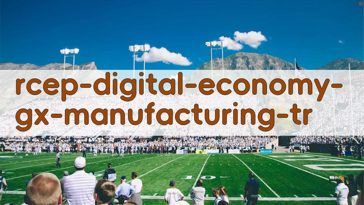 RCEP数字经济赋能广西制造业转型升级研究工具