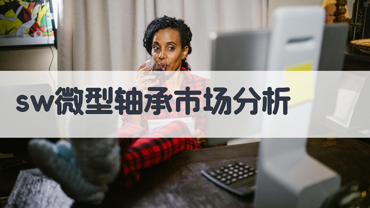 SW微型轴承市场分析