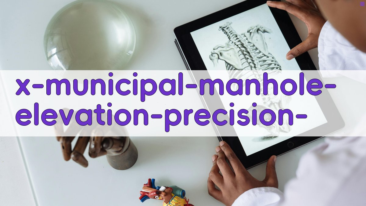 市政排污井高标高精准控制研究助手