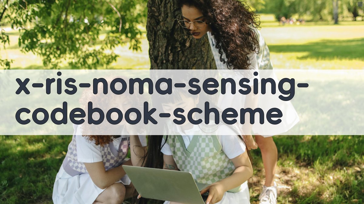 基于环境感知码本的RIS-NOMA通信实现方案