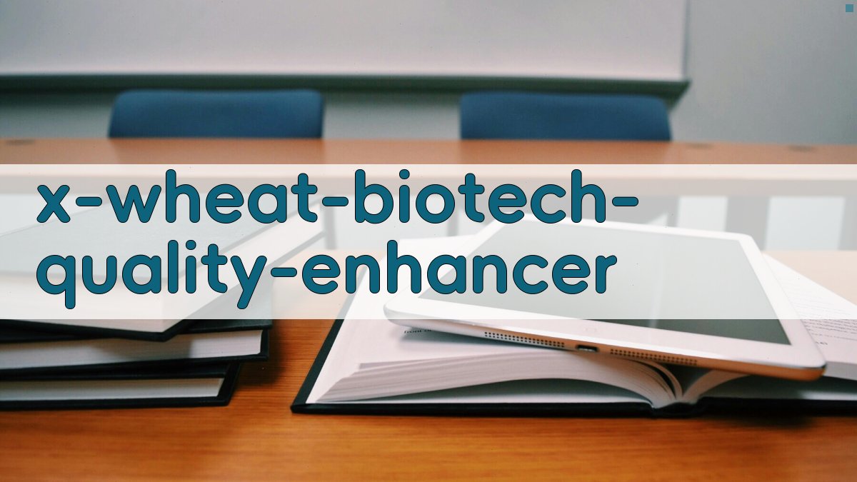 AI小麦营养品质改良研究助手