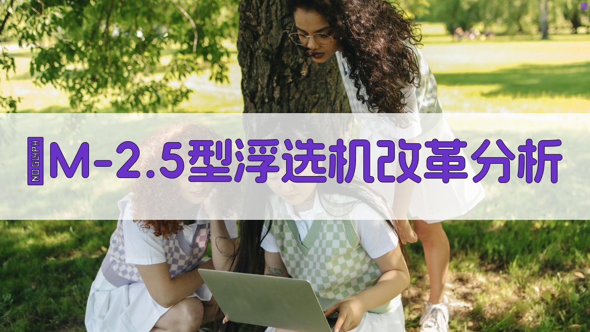 φM-2.5型浮选机改革分析