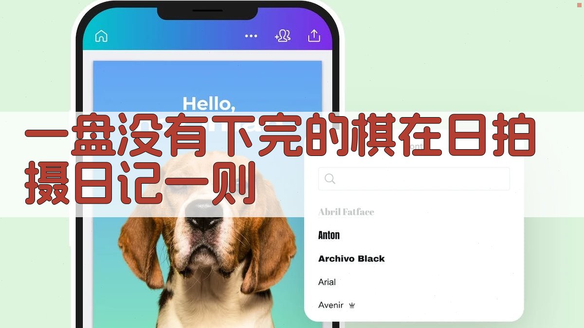 《一盘没有下完的棋》在日拍摄日记分析