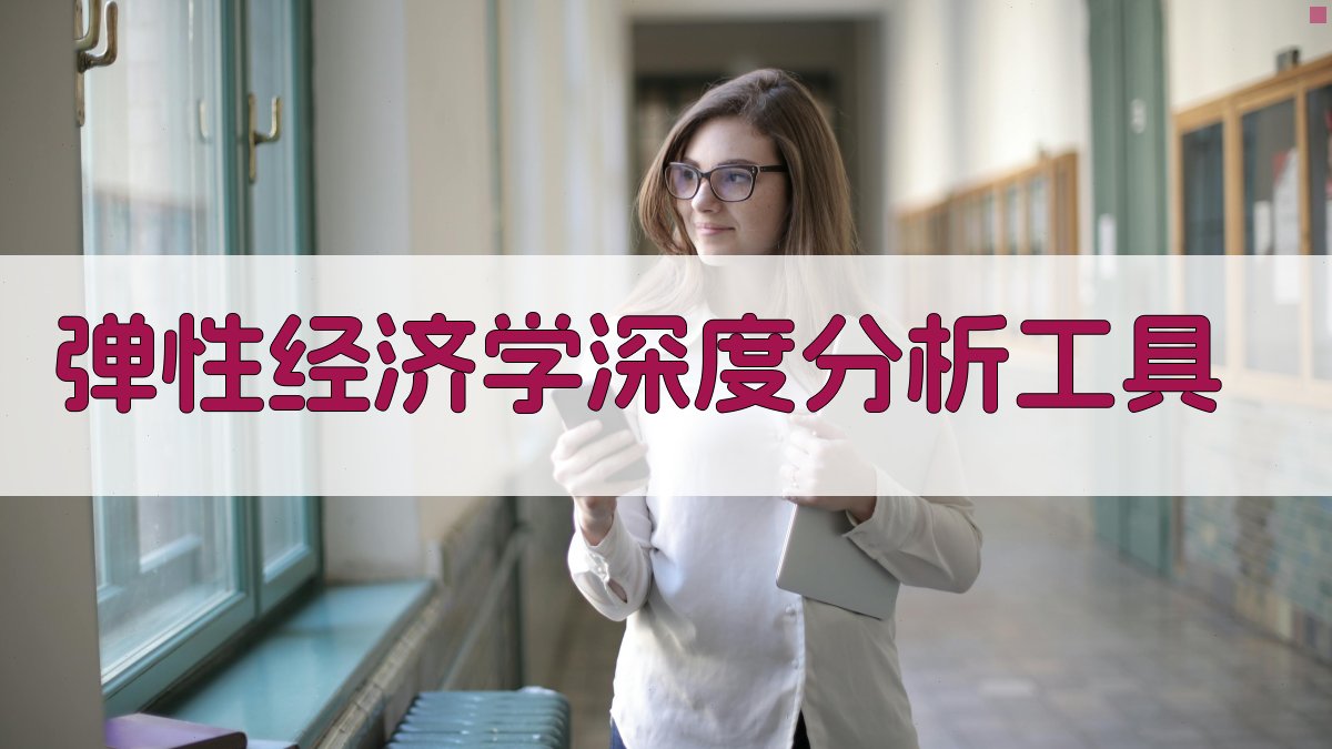 《弹性经济学》深度分析工具