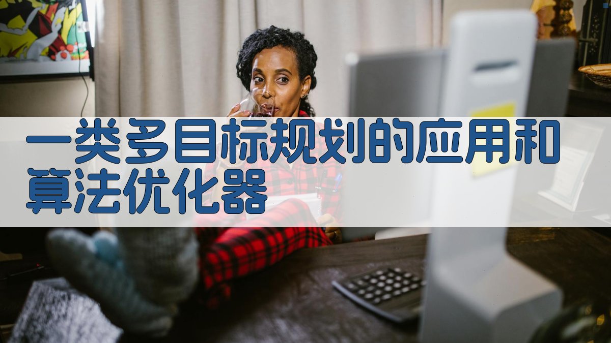 一类多目标规划的应用和算法优化器