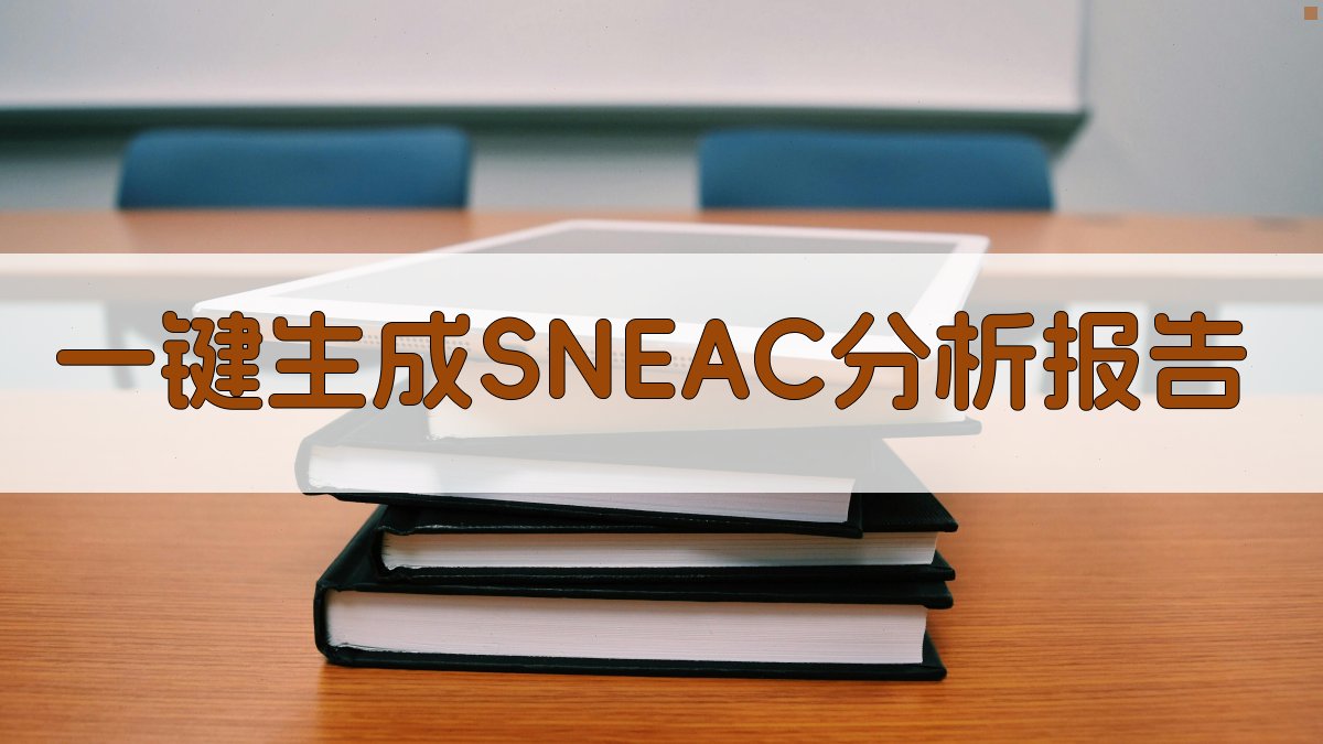 AI一键生成SNEAC分析报告