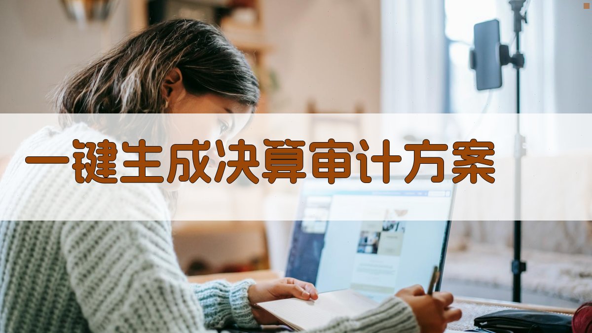 AI一键生成决算审计方案