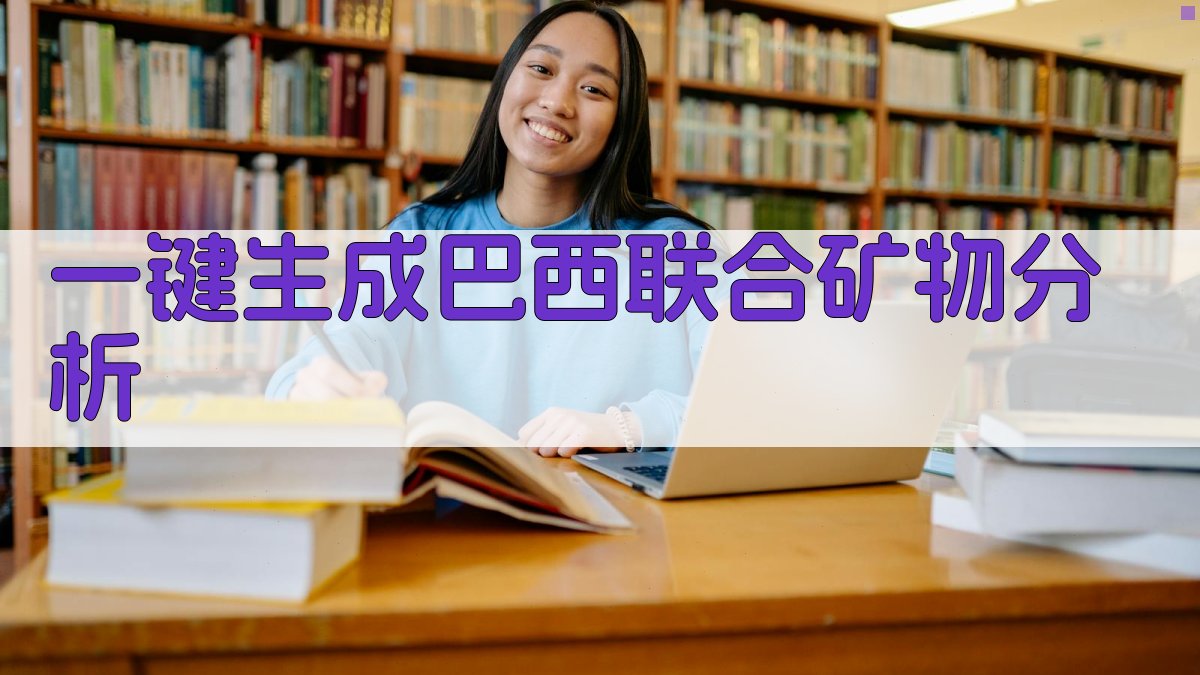 巴西联合矿物公司分析工具