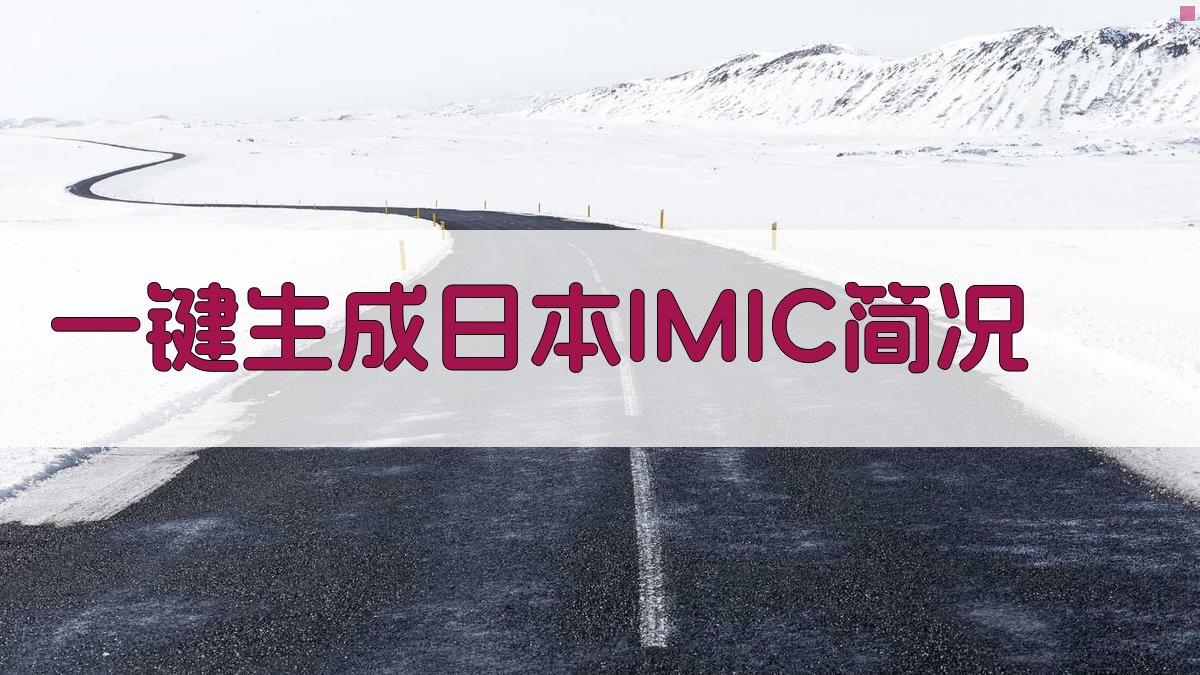 AI一键生成日本IMIC简况