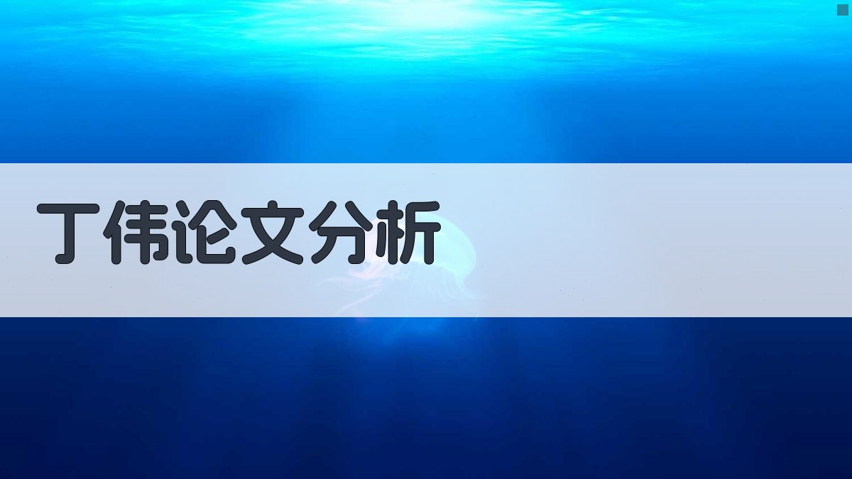 丁伟论文分析助手