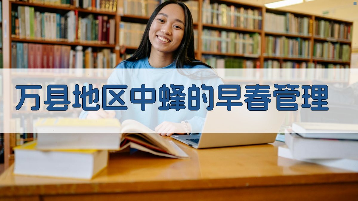 AI一键生成万县地区中蜂早春管理方案