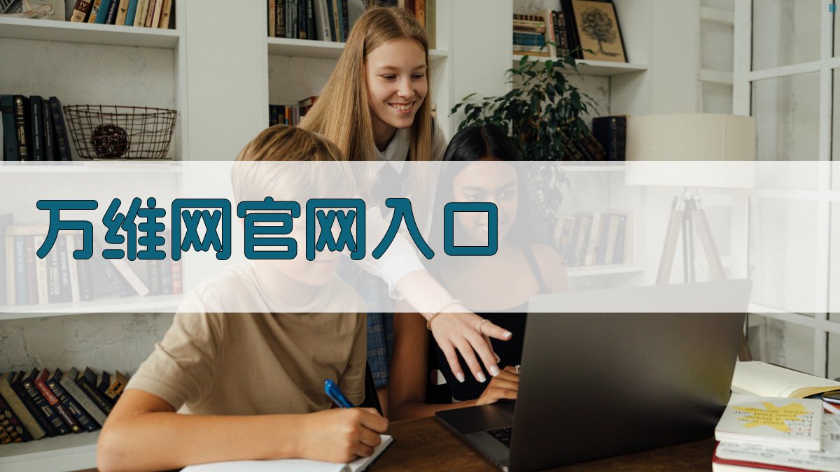 万维网官网入口查询